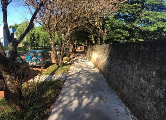 Projeto “Calçada Solidária” é aprovado em primeiro turno na Câmara de Matozinhos