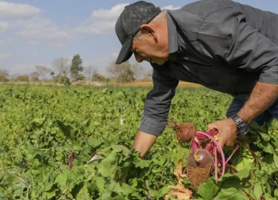 Projeto quer fortalecer agricultura familiar em Pedro Leopoldo