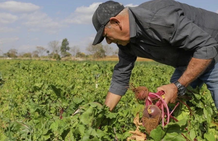 Projeto quer fortalecer agricultura familiar em Pedro Leopoldo