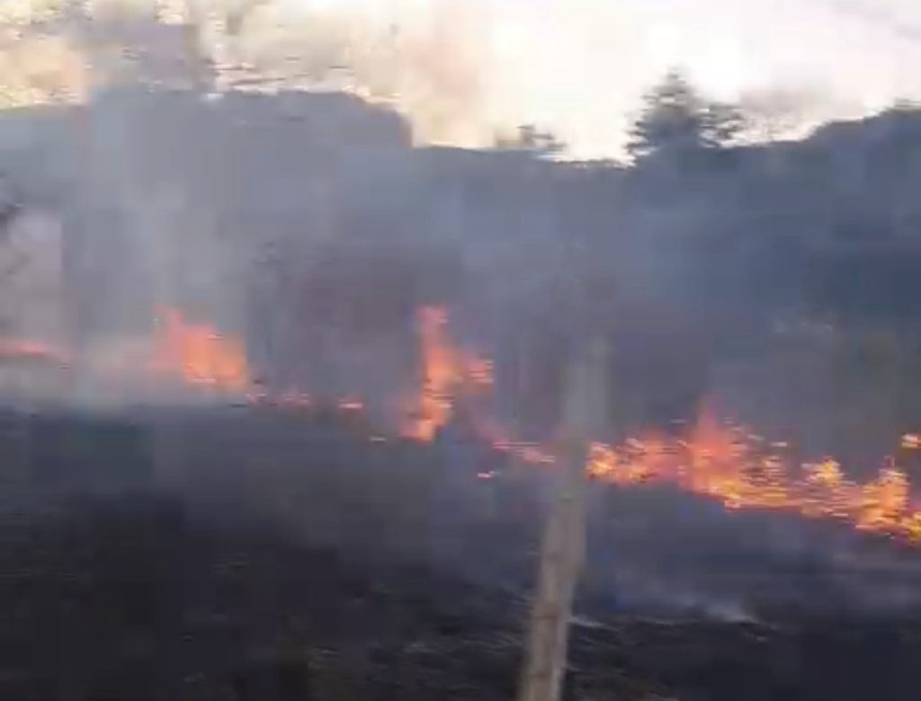 Guarda Municipal identifica incêndio por câmeras e Defesa Civil controla fogo rapidamente em Matozinhos