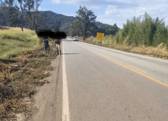 Idoso perde controle do carro e sai da pista na MG-238