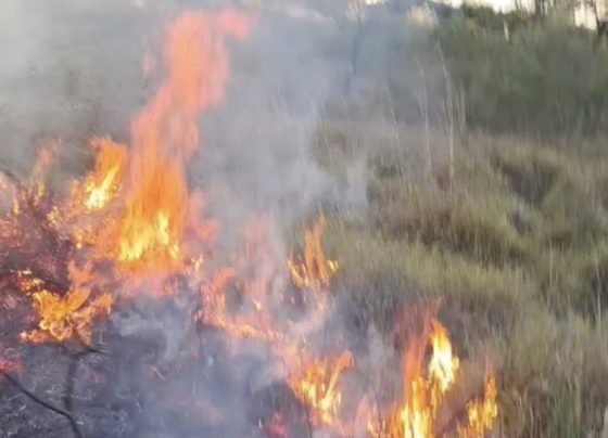 Incêndio de grandes proporções mobiliza Defesa Civil em Matozinhos
