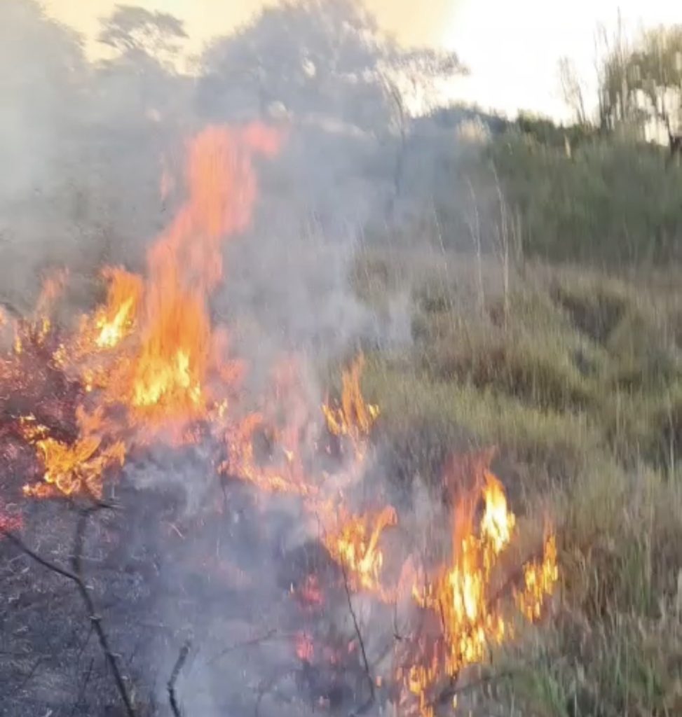 Incêndio de grandes proporções mobiliza Defesa Civil em Matozinhos