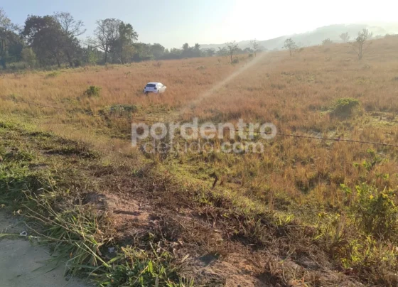 Motorista perde controle do carro e invade pasto às margens da MG em Matozinhos
