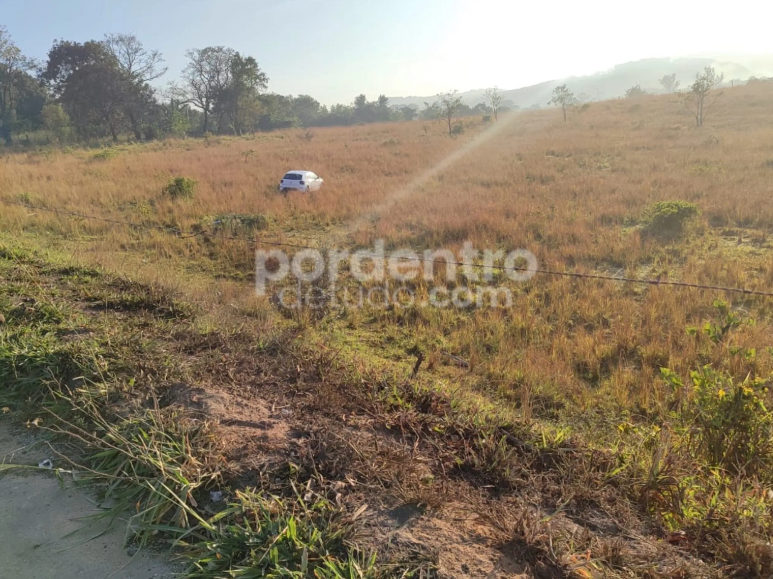 Motorista perde controle do carro e invade pasto às margens da MG em Matozinhos