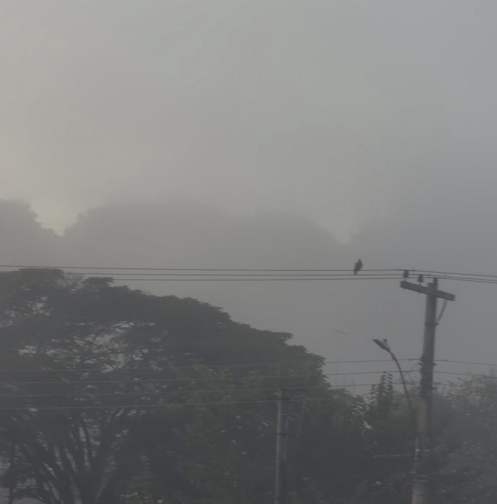 Neblina forte marca a manhã desta quarta-feira em Pedro Leopoldo, Matozinhos e cidades da região
