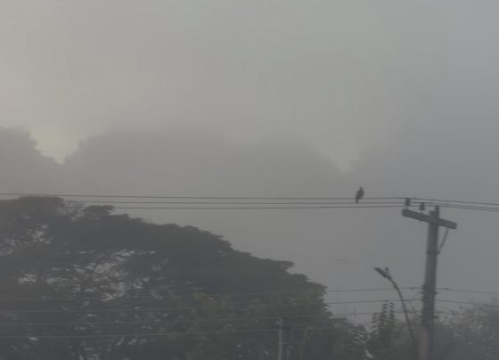 Neblina forte marca a manhã desta quarta-feira em Pedro Leopoldo, Matozinhos e cidades da região