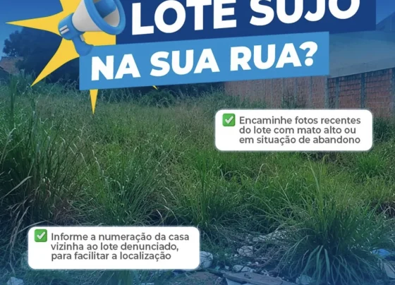 Prefeitura de Matozinhos reforça canal para denúncias de lotes sujos e com mato alto