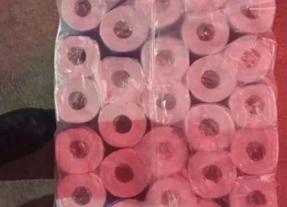 Suspeito invade escola municipal, furta materiais e abandona 64 rolos de papel higiênico durante fuga em Matozinhos