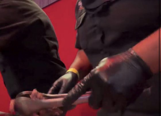 VÍDEO: Cleitão e Afonsinho dão show no churrasco do Camarote Brahma no Pedro Leopoldo Rodeio Show