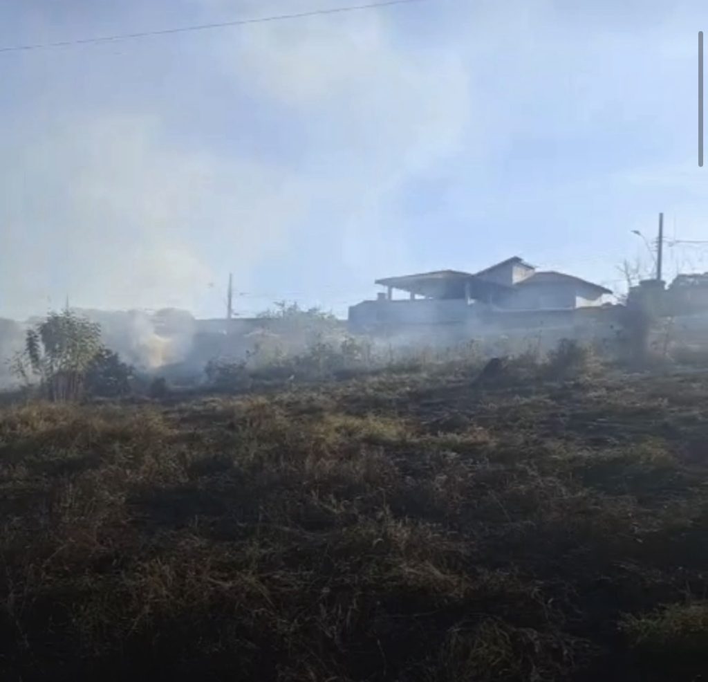 VÍDEO: Defesa Civil combate incêndio em área de vegetação em Matozinhos