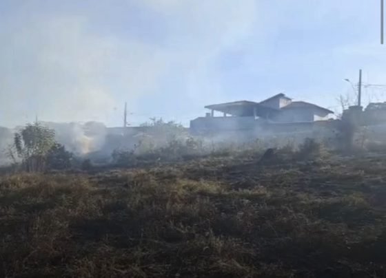 VÍDEO: Defesa Civil combate incêndio em área de vegetação em Matozinhos