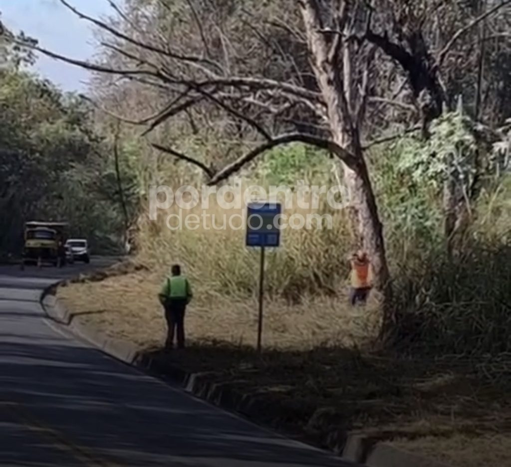 VÍDEO: Supressão de árvores acontece nesta quarta-feira na MG-424 em Matozinhos