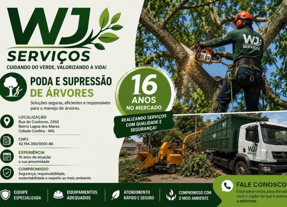 WJ Serviços: 16 anos de experiência em poda e supressão de árvores com segurança e responsabilidade