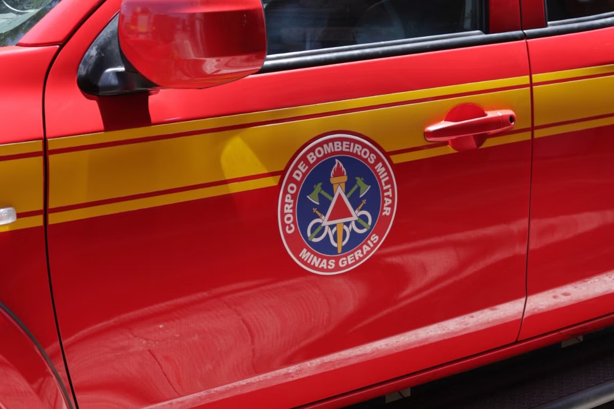 Bombeiros avaliam ocorrência de gato em árvore e constatam que animal não estava em risco em Sete Lagoas