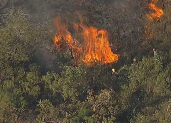 Defesa Civil reforça preparação para combater incêndios florestais em Pedro Leopoldo