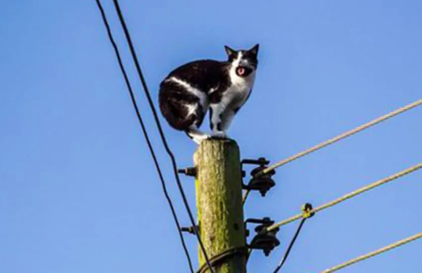 Gato de energia: Polícia investiga suspeita de ligação clandestina em imóvel de Sete Lagoas