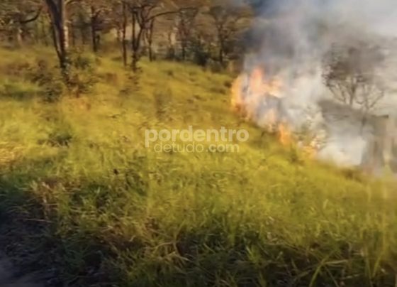 VÍDEO: Incêndio de grandes proporções mobiliza Bombeiros e Defesa Civil em Pedro Leopoldo