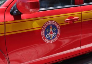 Bombeiros avaliam ocorrência de gato em árvore e constatam que animal não estava em risco em Sete Lagoas