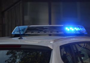 Cão encontrado acorrentado e sem comida em Matozinhos recebe medidas emergenciais de cuidado