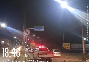 Defesa Civil e Secretaria de Obras iniciam poda preventiva de palmeiras em Matozinhos