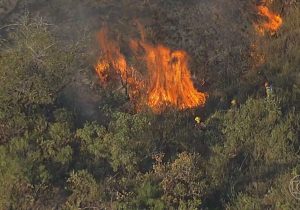 Defesa Civil reforça preparação para combater incêndios florestais em Pedro Leopoldo