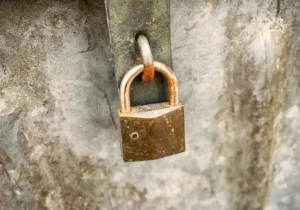 Furto com portão arrombado assusta moradores em bairro de Pedro Leopoldo