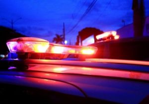 Motorista capota carro ao desviar de cão na MG-424