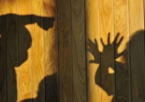 Polícia investiga caso de tortura contra adolescente em Matozinhos