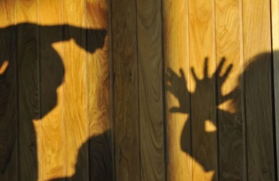 Polícia investiga caso de tortura contra adolescente em Matozinhos