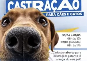 Pré-cadastro para castração de cães e gatos é realizado em Matozinhos