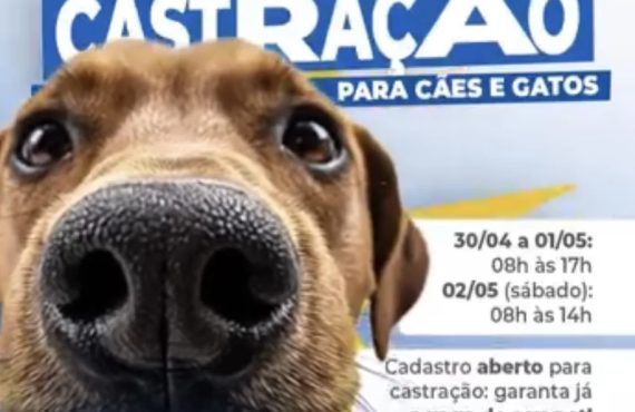 Pré-cadastro para castração de cães e gatos é realizado em Matozinhos