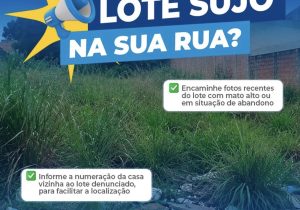 Prefeitura de Matozinhos reforça canal para denúncias de lotes sujos e com mato alto