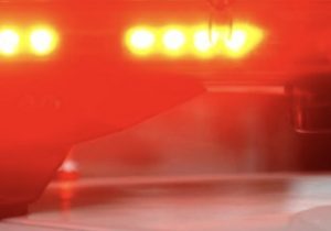 Cão farejador encontra drogas escondidas em túmulo de cemitério no interior de MG